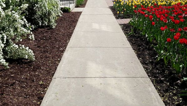 Cement Sidewalk Installation in Port Saint Lucie