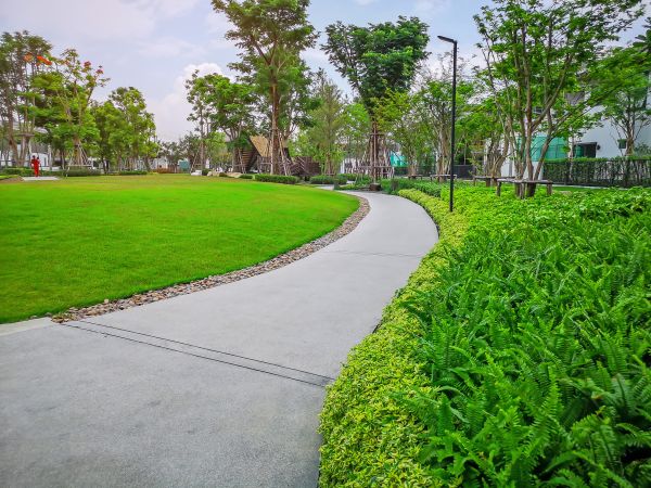 Cement Walkway Service in Port Saint Lucie