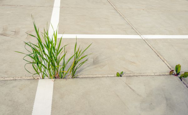Concrete Parking Installation in Port Saint Lucie